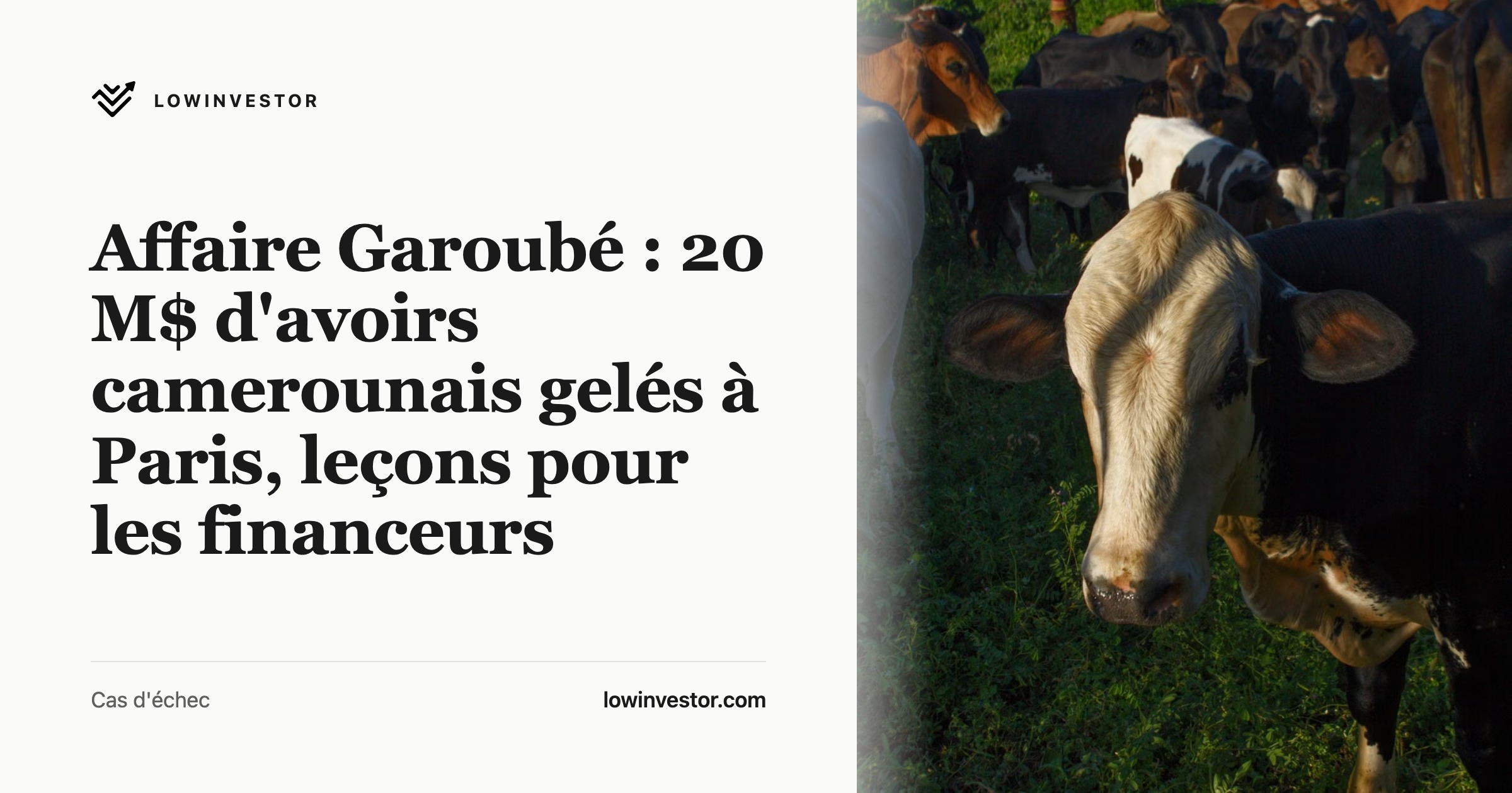 Affaire Garoubé : 20 M$ d'avoirs camerounais gelés à Paris, leçons pour les financeurs