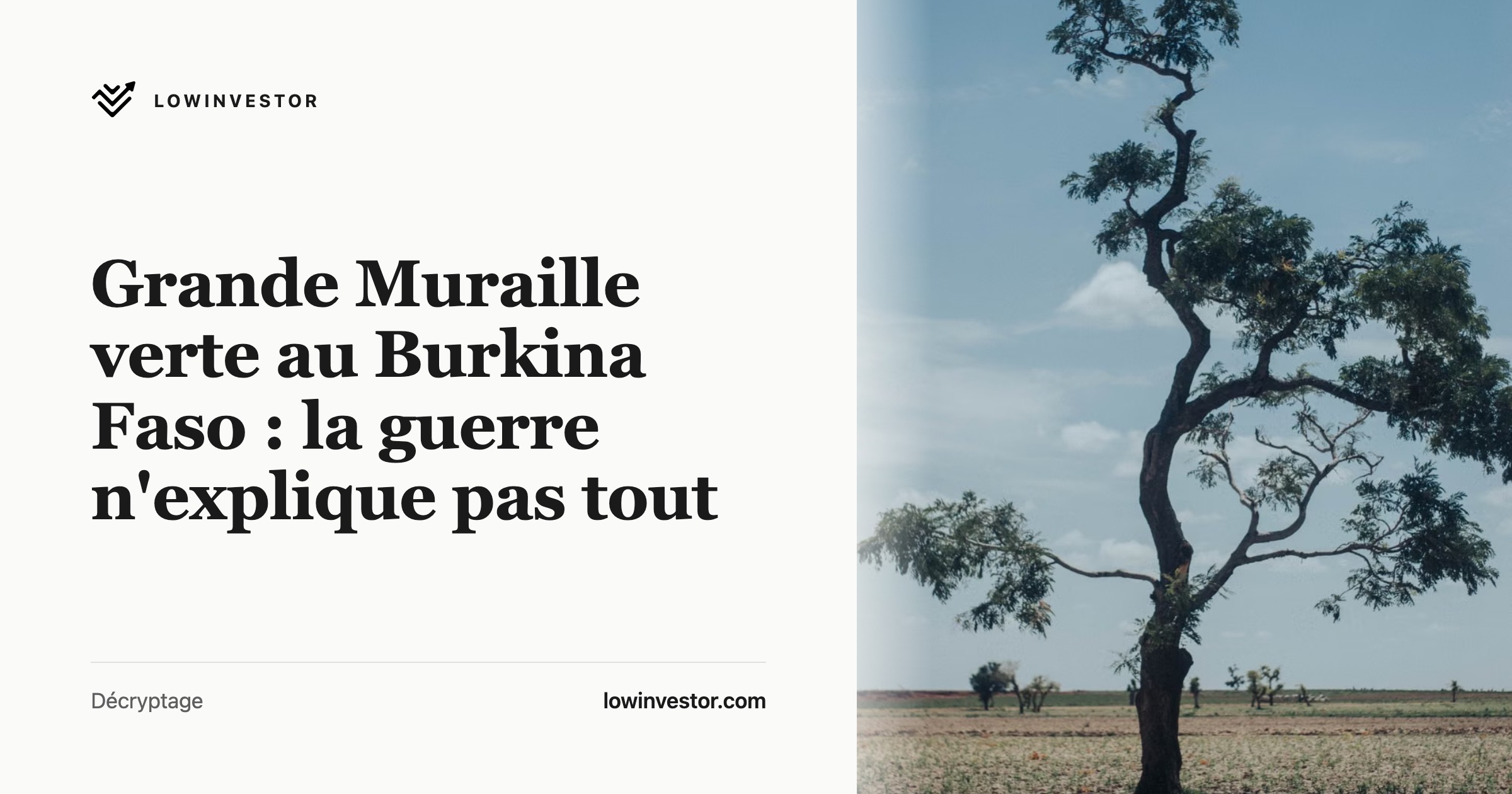 Grande Muraille verte au Burkina Faso : la guerre n'explique pas tout
