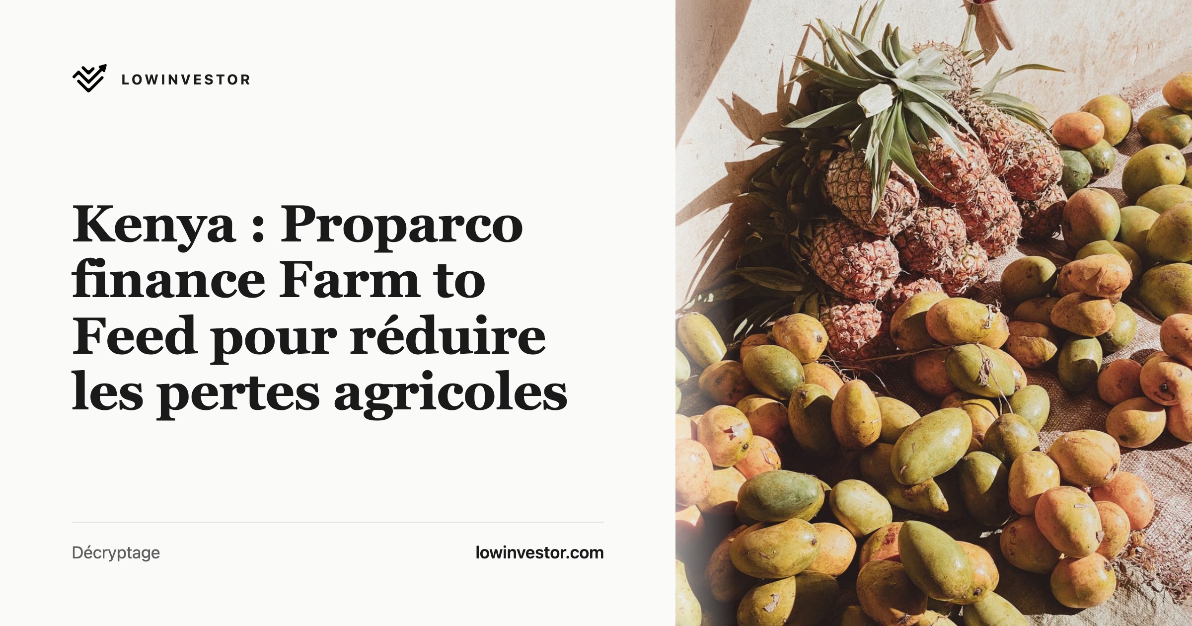 Kenya : Proparco finance Farm to Feed pour réduire les pertes agricoles