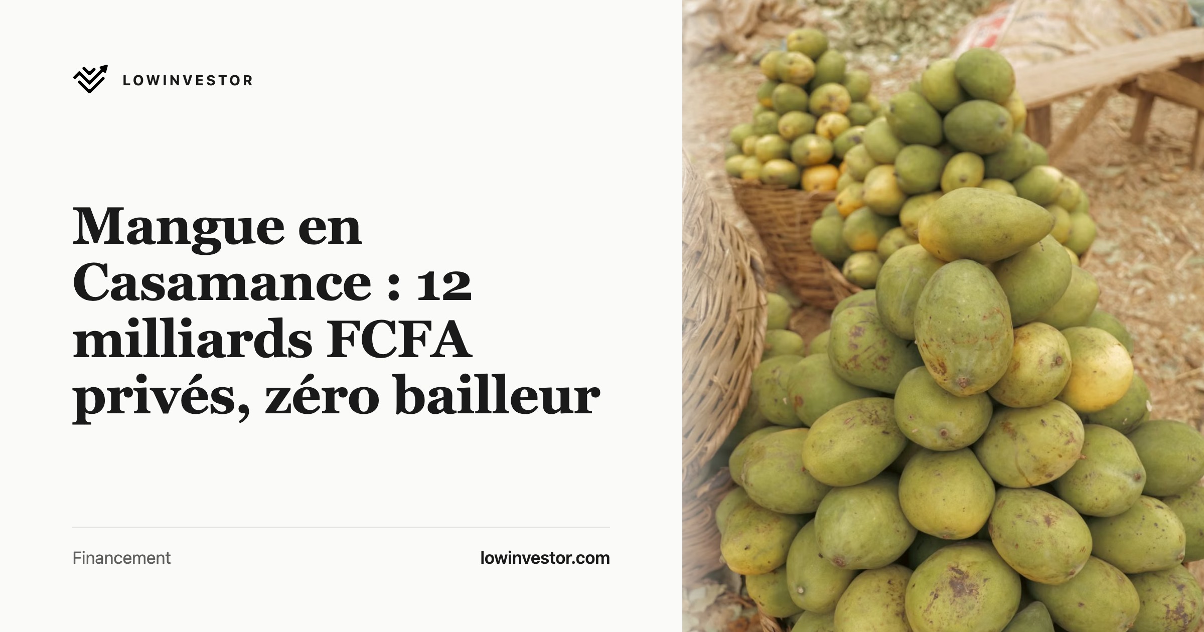 Mangue en Casamance : 12 milliards FCFA privés, zéro bailleur