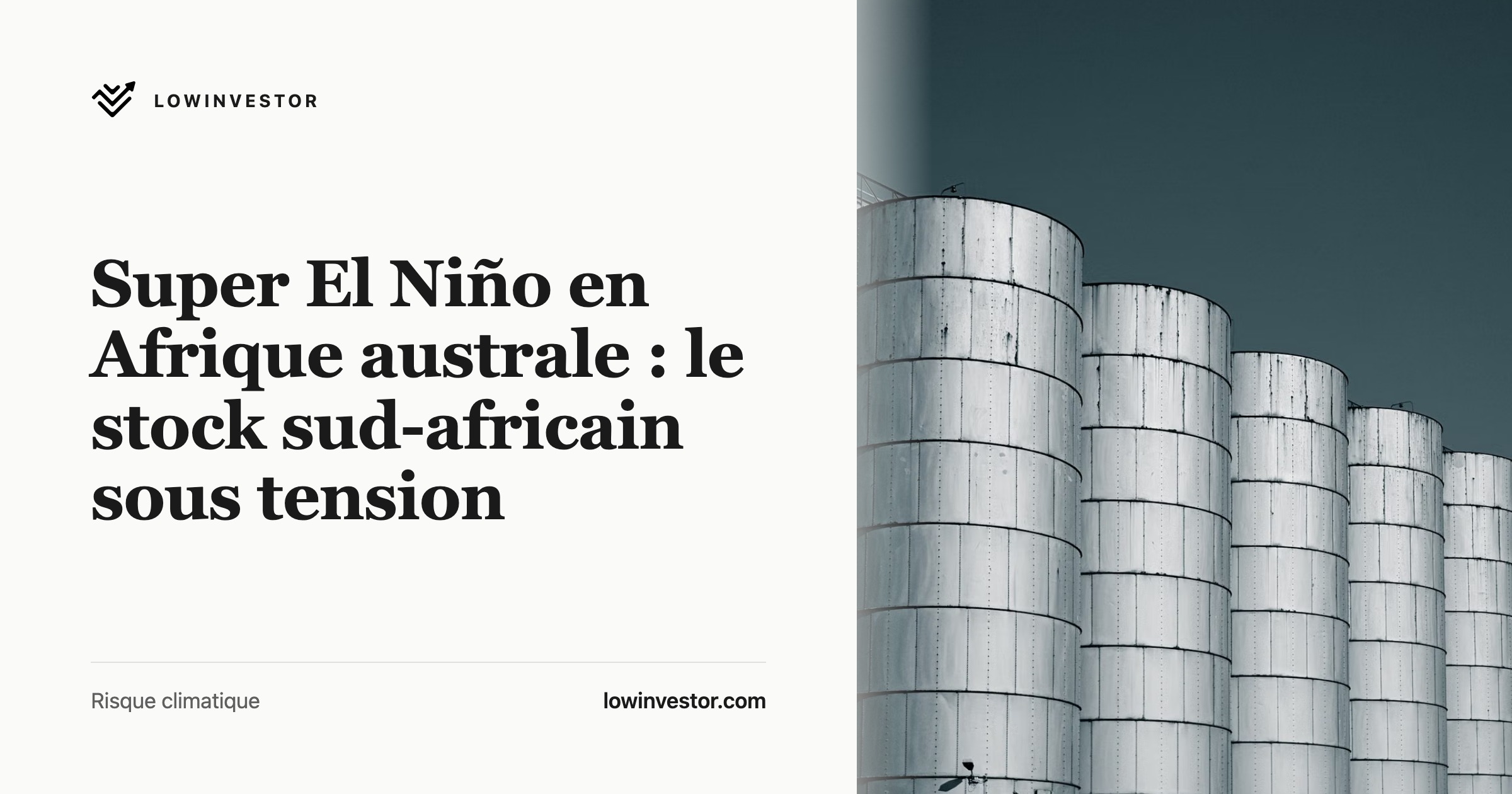 Super El Niño en Afrique australe : le stock sud-africain sous tension